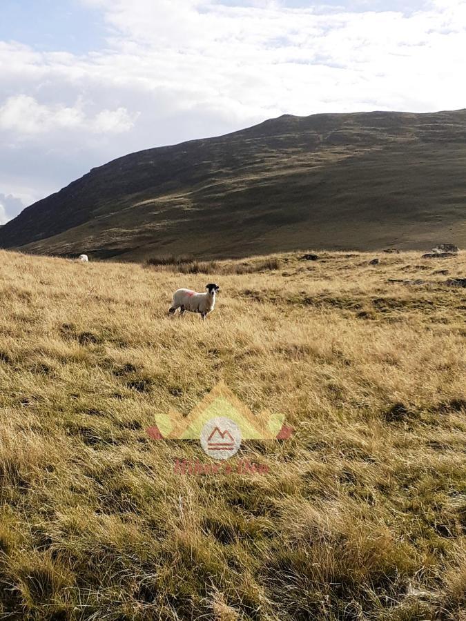 Hiker'S Den, Brigham, Cockermouth, Cumbria别墅 外观 照片